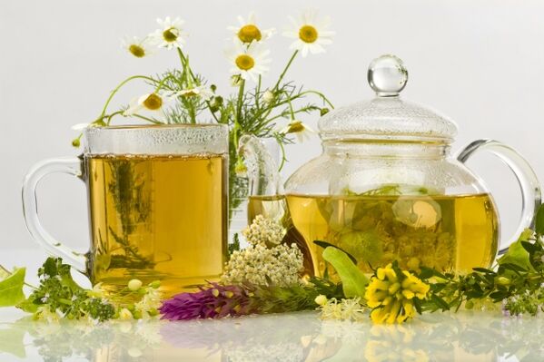 décoction de plantes comme antibiotique naturel pour la prostatite